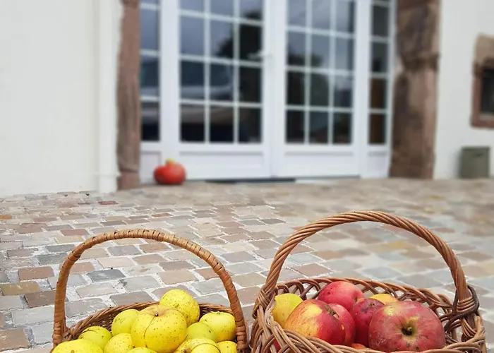 Joli 12 Personnes 200m2 Sauna Baby-foot 샬레